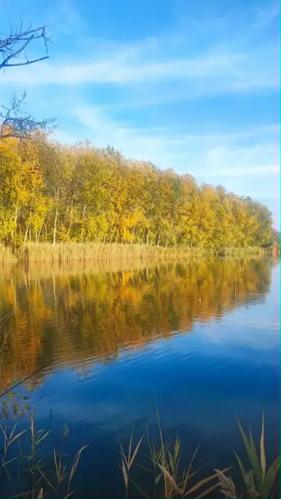 Kecskeméttől 15 km-re 14 hektáros birtok tóval, tanyával eladó – 4