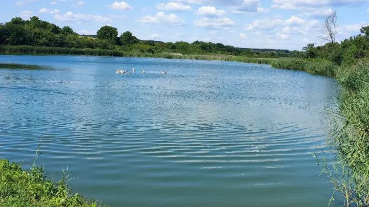 7 Hektar großes Anwesen mit 6 Hektar Fischteich bei Pécs, Ungarn – 1