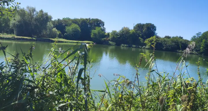 7 Hektar großes Anwesen mit 6 Hektar Fischteich bei Pécs, Ungarn – 2