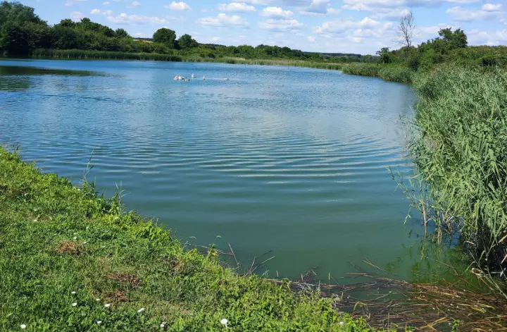 7 Hektar großes Anwesen mit 6 Hektar Fischteich bei Pécs, Ungarn – 3