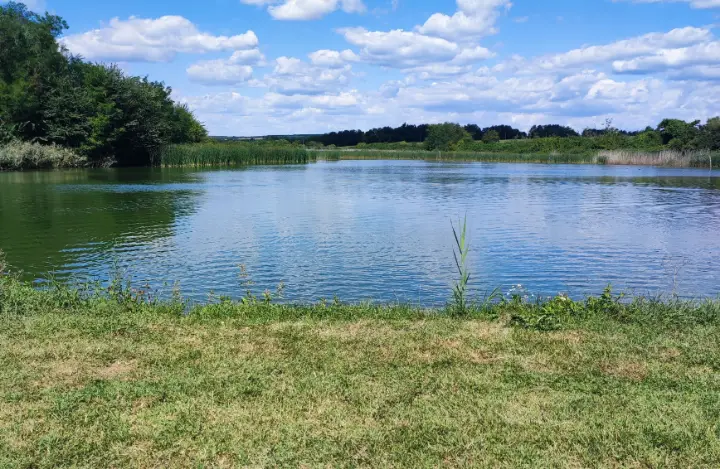 7 Hektar großes Anwesen mit 6 Hektar Fischteich bei Pécs, Ungarn – 5