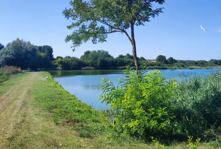 7 Hektar großes Anwesen mit 6 Hektar Fischteich bei Pécs, Ungarn – 6