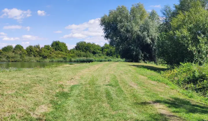 7 Hektar großes Anwesen mit 6 Hektar Fischteich bei Pécs, Ungarn – 7