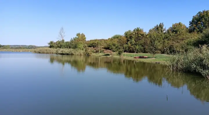 7 Hektar großes Anwesen mit 6 Hektar Fischteich bei Pécs, Ungarn – 8