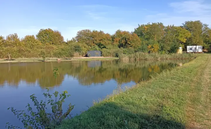 7 Hektar großes Anwesen mit 6 Hektar Fischteich bei Pécs, Ungarn – 9