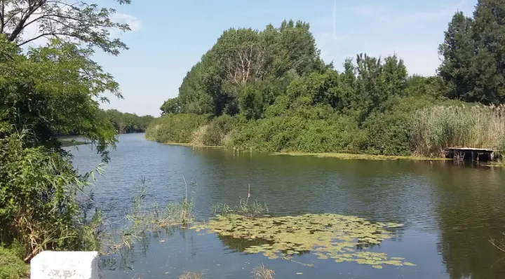 Farmstead (Tanya) by Holt-Duna-ág Oxbow Lake, Bács-Kiskun, Hungary – 1